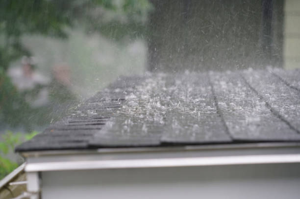 Best Green or Eco-Friendly Roofing Solutions  in Shady Hollow, TX