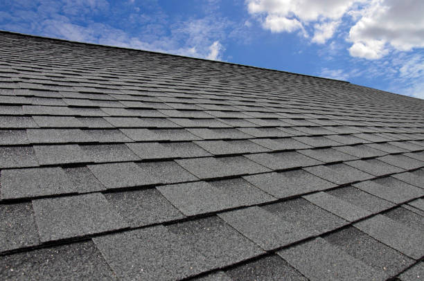 Siding in Shady Hollow, TX