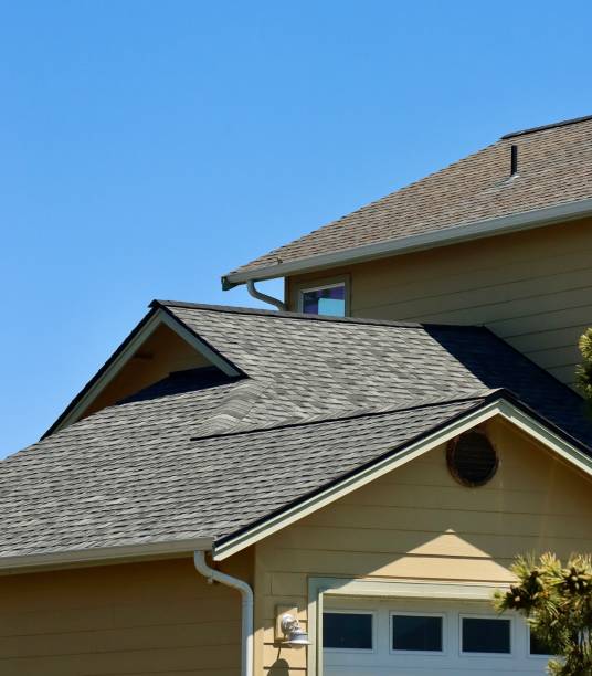 Best Roof Coating and Sealing  in Shady Hollow, TX