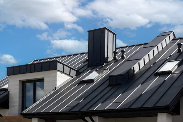 Best Skylight Installation and Repair  in Shady Hollow, TX